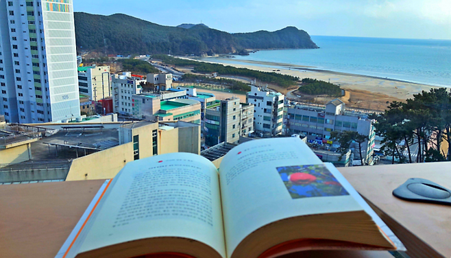 다대도서관에서 조망한 다대포해수욕장 전경 / 사진=부산광역시 X 캡쳐