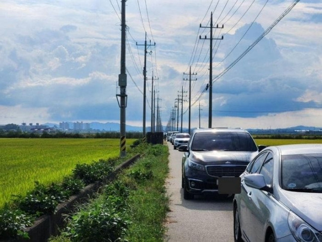 지난달 17일 티맵의 '논길 안내'로 귀경 차량이 충남 아산 인근 농로에서 정체되고 있다. [온라인커뮤니티 캡처]