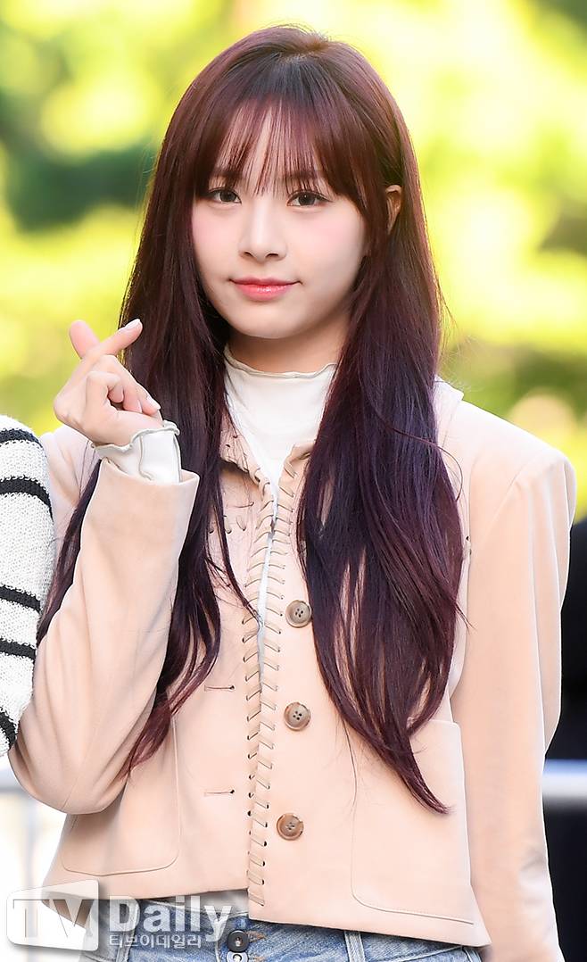 티브이데일리 포토