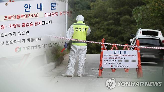 고병원성 AI·ASF 등 가축질병 확산 방지 (CG) [연합뉴스TV 제공]