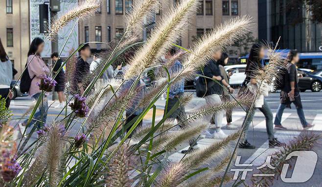 완연한 가을 날씨를 보인 4일 오전 서울 종로구 광화문사거리에서 출근길 시민들이 발걸음을 재촉하고 있다. 2024.10.4/뉴스1 ⓒ News1 이재명 기자