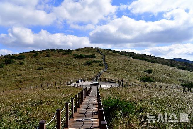 [울주=뉴시스] 차용현 기자 = 완연한 가을 날씨를 보인 지난 4일 경북 울주군 상북면 신불산 정상 일원에서 가을 바람에 흔들리는 억새가 탐방객을 유혹하고 있다. 2024.10.05. con@newsis.com