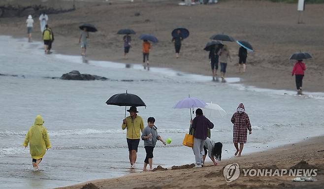 비 내리는 제주/사진=연합뉴스