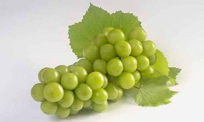 사진=게티이미지뱅크