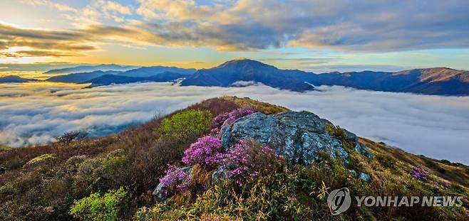 지리산 [경남 산청군 제공. 재판매 및 DB 금지]