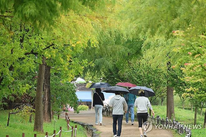 가을비 내리는 수목원 (대전=연합뉴스) 강수환 기자 = 개천절인 지난 3일 오후 시민들이 비가 내리는 대전 서구 한밭수목원에서 산책을 즐기고 있다. 2024.10.3 swan@yna.co.kr