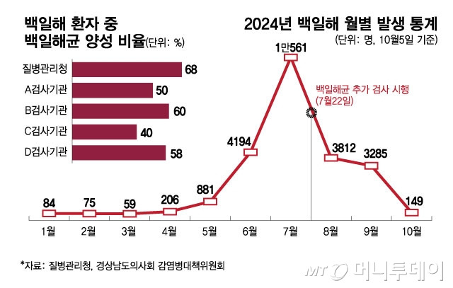 2024년 백일해 월별 발생 통계 및 양성 비율/그래픽=김현정