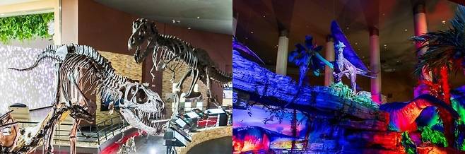 육식 공룡 알로사우루스 진품 화석 등을 만나는 해남공룡박물관