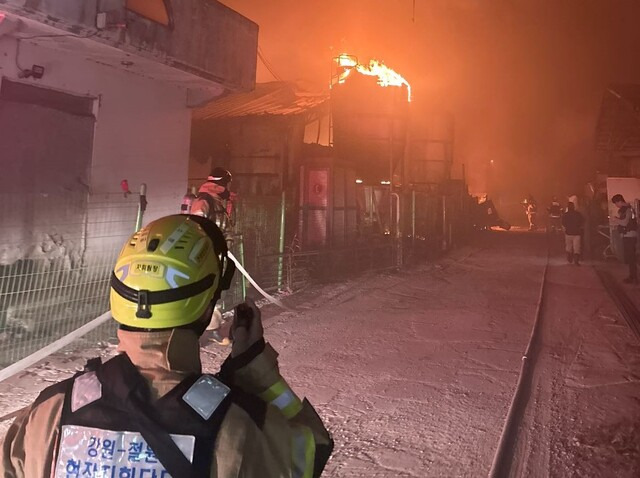 26일 새벽 강원도 철원군 갈말읍의 돼지농장에서 화재가 발생해 돼지 3500마리가 소사하는 피해가 났다. 강원도소방본부 제공