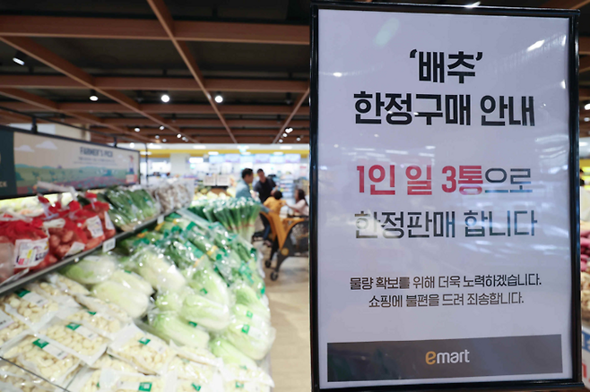 금배추 구매제한 배춧값 강세가 이어지는 가운데 29일 오전 서울 시내 한 대형마트에 배추 한정 구매 안내문이 게시됐다. 이날 한국농수산식품유통공사에 따르면 지난 27일 기준 배추 소매가격은 포기당 평균 9963원이다. 1년 전과 비교하면 60.9% 비싸고 평년 가격보다 38.1% 높다. [사진 = 연합뉴스]