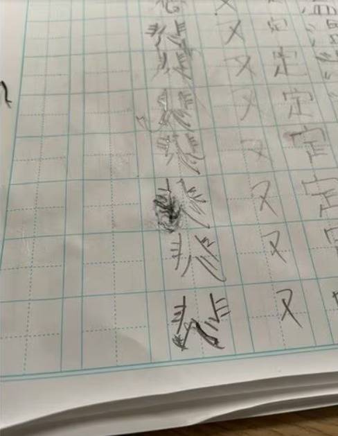 '이중연필군'을 이용해 공책에 한자 슬플 비(悲)를 써 넣은 모습. [FNN 갈무리]