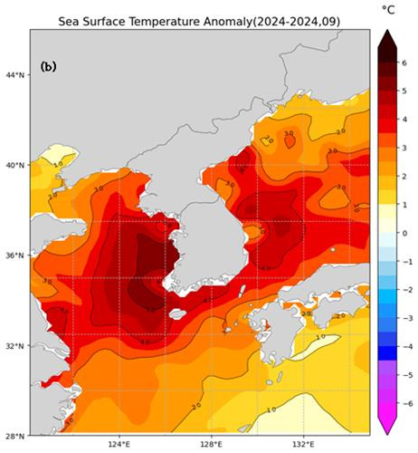 2024년 9월 해수면 온도 평년 편차. [기상청 제공. 재판매 및 DB 금지]