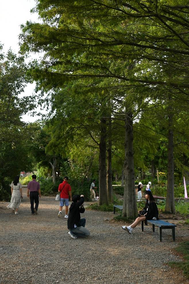 청산수목원 산책로.