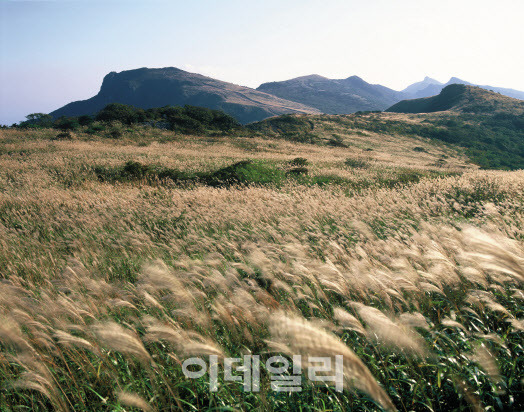 울산 울주군 간월재 가을 전경. (사진=울산 울주군 제공)