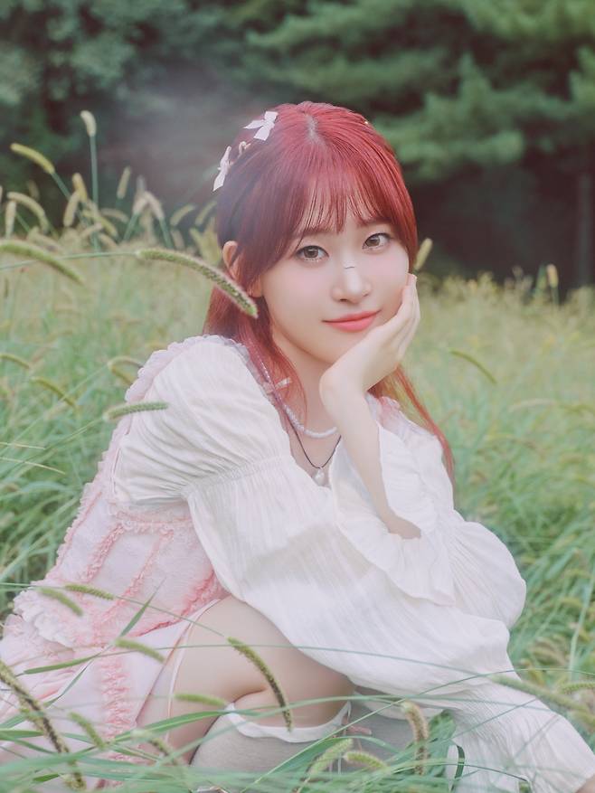 사진=nCH엔터테인먼트