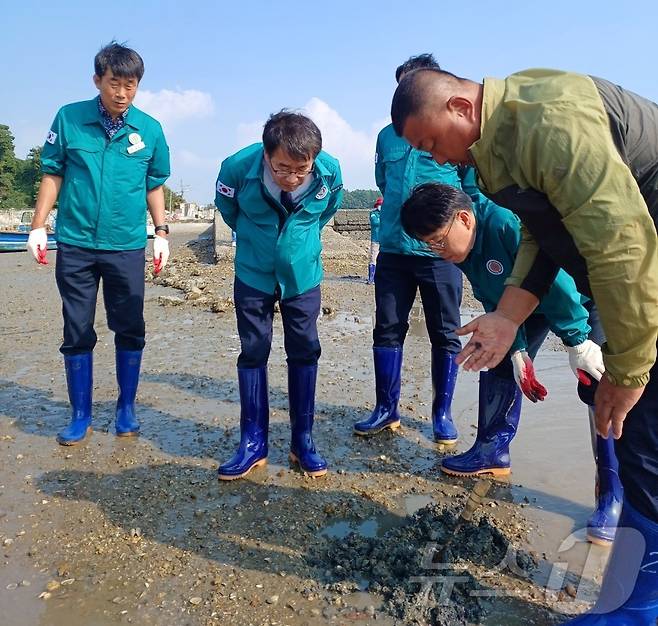 전형식 부지사(왼쪽 두번째)와 충남도 관계자들이 가로림만에서 폐사 바지락을 살펴보고 있다.(충남도 제공) /뉴스1