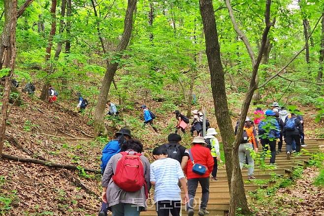 올 상반기 '시민과 함께하는 고양누리길 14개 코스 걷기 행사/사진-고양시