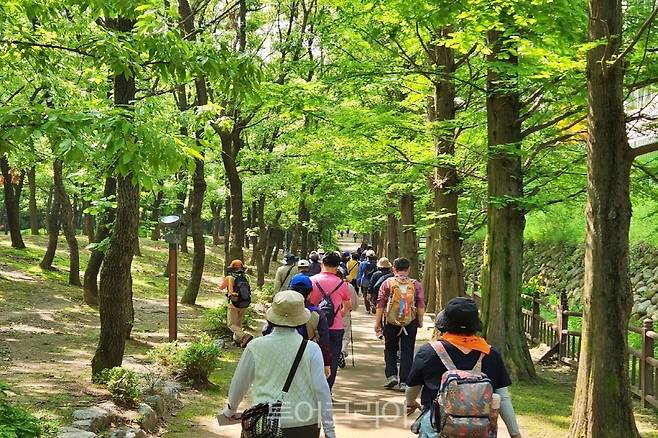 올 상반기 '시민과 함께하는 고양누리길 14개 코스 걷기 행사/사진-고양시