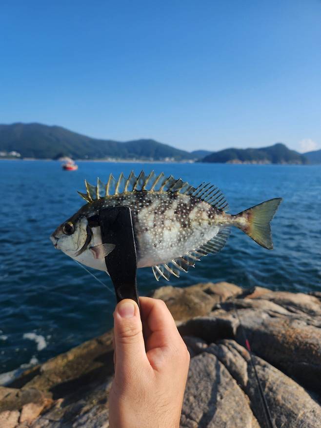 오랫만의 거제