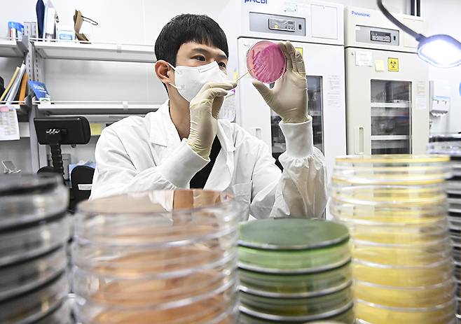 경기도보건환경연구원에서 감염병연구부 수인성질환팀 직원이 식중독균 배양검사를 하고 있다. (ⓒ뉴스1, 무단 전재-재배포 금지)