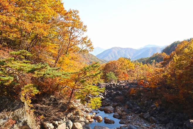 산청 두류생태탐방로