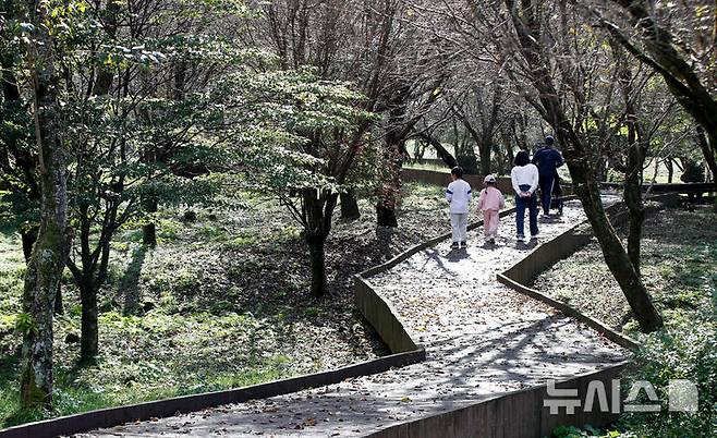 [제주=뉴시스] 우장호 기자 = 도시 숲의 중요성을 알리기 위한 제1회 나무포럼 이틀째인 12일 제주시 한라생태숲 원형광장 일원에서 식물치유 프로그램, 요가 프로그램과 명상, 제주의 주요 가로수 특징을 맞추는 보드게임 등 체험 행사가 열리고 있다. 올해 처음 열린 나무포럼은 제주도가 주최하고 제주국제컨벤션센터가 주관하며, 서부지방산림청이 후원하며, '도시와 숲, 그리고 사람'을 대주제로 총 3개 세션으로 진행됐다. 2024.10.12. woo1223@newsis.com