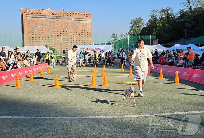 '2024 중구 해피투개더 반려견 축제'가 12일 서울 동국대학교에서 열렸다. ⓒ 뉴스1 최서윤 기자