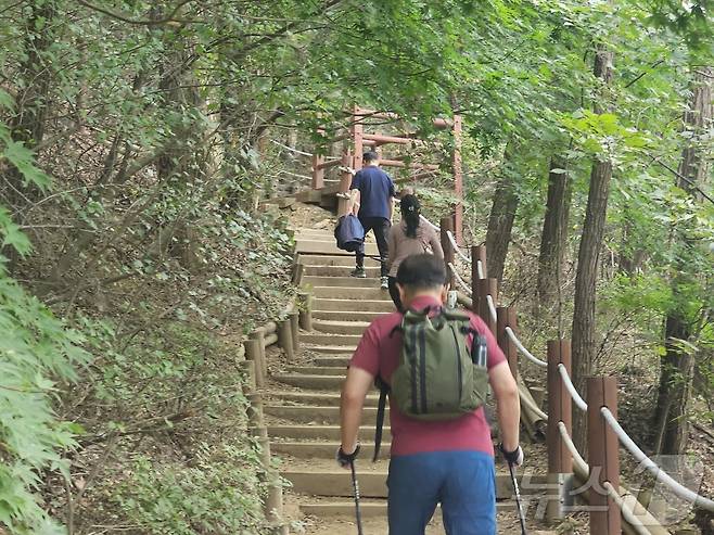 13일 오후 2시쯤 경기 수원시 장안구 하광교동 광교산에서 등산객들이 산행을 즐기고 있다.. 2024.10.13/뉴스1 ⓒ News1 김기현 기자