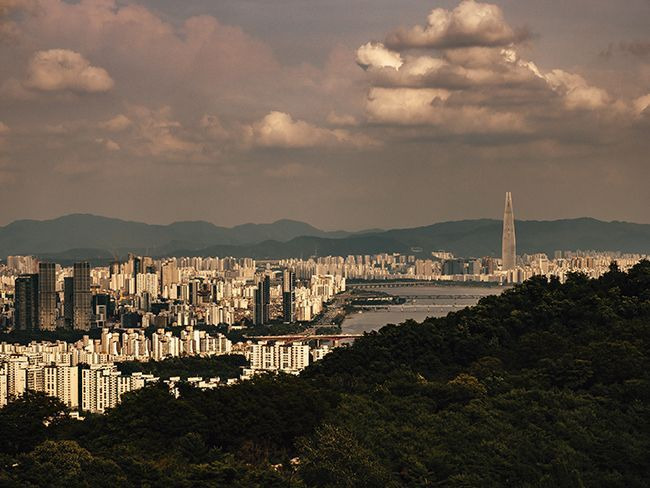 Seoul, June 2024 [사진제공 = 갤러리 반디트라소]