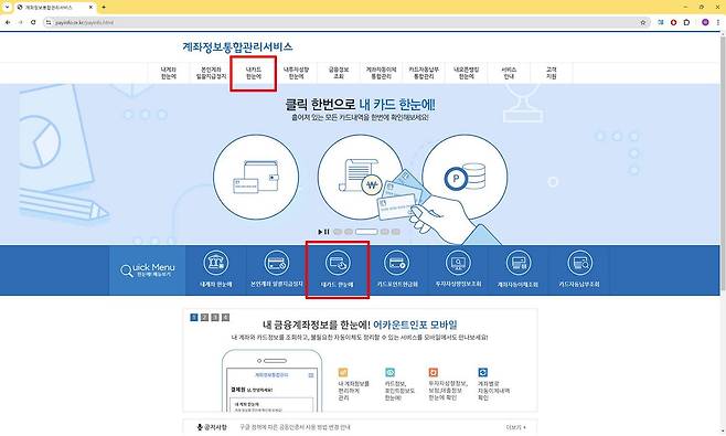 브라우저에서 ‘어카운트인포’를 검색한 후 접속하면 보유 카드 및 다양한 금융정보 확인이 가능합니다. / 출처=IT동아