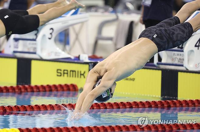 황선우 전국체전 200ｍ 자유형 (창원=연합뉴스) 김동민 기자 = 14일 오후 경남 창원시 성산구 창원실내수영장에서 열린 제105회 전국체육대회(전국체전) 남자 수영 자유형 200ｍ 결승에서 황선우(강원)가 입수하고 있다. 2024.10.14 image@yna.co.kr