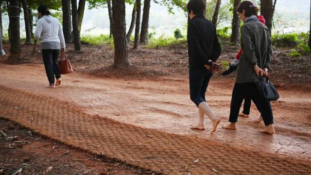호매실지구 산울림공원 황톳길을 맨발로 이용하는 시민들. 수원특례시 제공