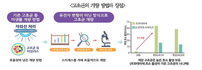 고초균의 개량 과정을 나타낸 모식도. 한국식품연구원 제공