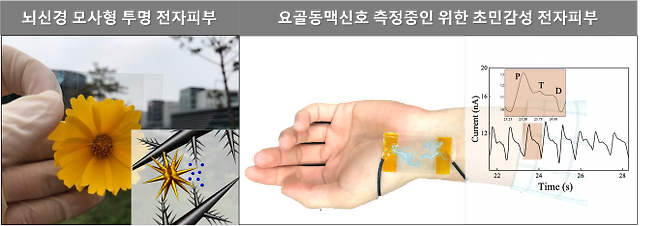 대구경북과학기술원(DGIST)과 전북대 공동연구팀이 개발한 초민감성 전자피부. DGIST 제공