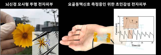 개발한 초민감성 유연 전자피부.[DGIST 제공]