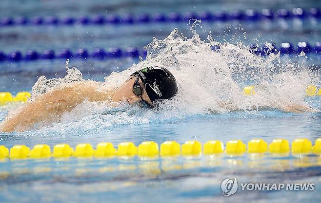 황선우 계영 400ｍ 집중 (창원=연합뉴스) 김동민 기자 = 15일 오후 경남 창원시 성산구 창원실내수영장에서 열린 제105회 전국체육대회(전국체전) 남자 수영 계영 400ｍ 결승. 황선우(강원)가 물살을 가르고 있다. 2024.10.15 image@yna.co.kr