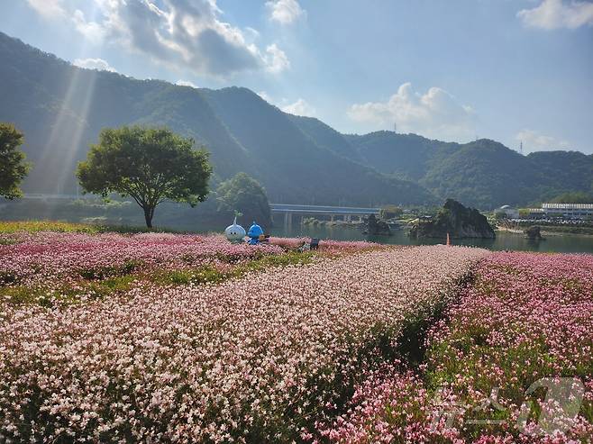 도담정원.(단양군 제공)2024.10.17/뉴스1