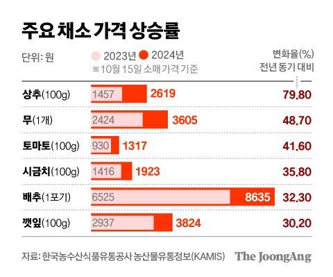 정근영 디자이너