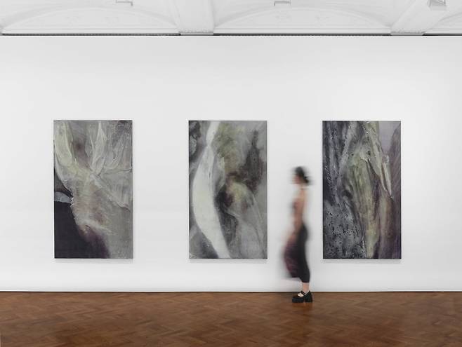 정희민 작품 전시 전경. /테이트 제공