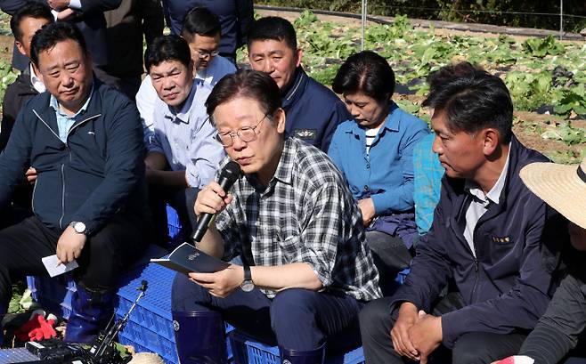 금값 배추 점검 이재명 더불어민주당 대표가 17일 강원 평창군 방림면 계촌리 배추밭을 찾아 농민들과 현장 간담회를 하고 있다. 연합뉴스