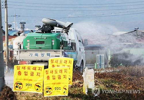 작년 12월 경기 용인시 청미천에서 방역이 진행 중인 모습. [연합뉴스 자료사진]