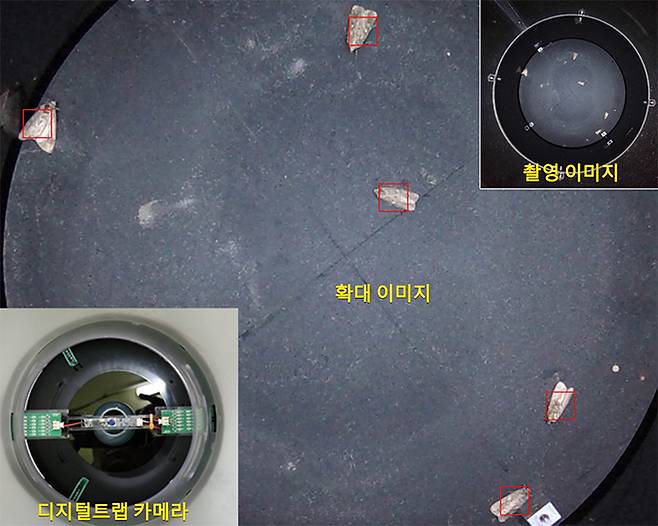 AI를 이용해 해충 개수를 자동으로 세는 모습