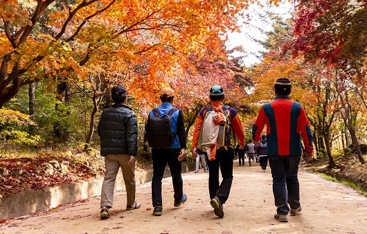 등산은 특별한 기술 없이 누구나 즐길 수 있는 운동 중 하나다 | 출처: 클립아트코리아