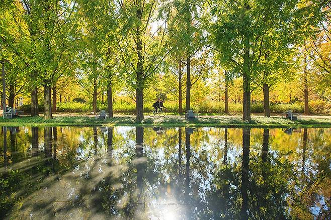 Mirror Lake at Seoul Forest in Seongdong-gu, eastern Seoul (Korea Tourism Organization)