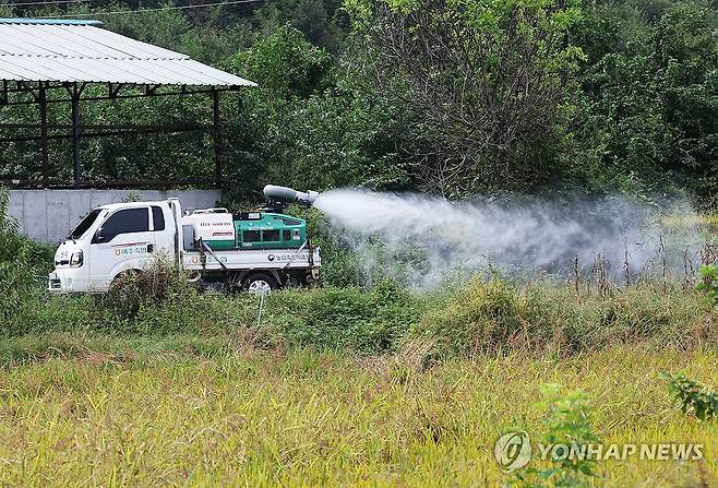 럼피스킨 방역 [연합뉴스 자료 사진]