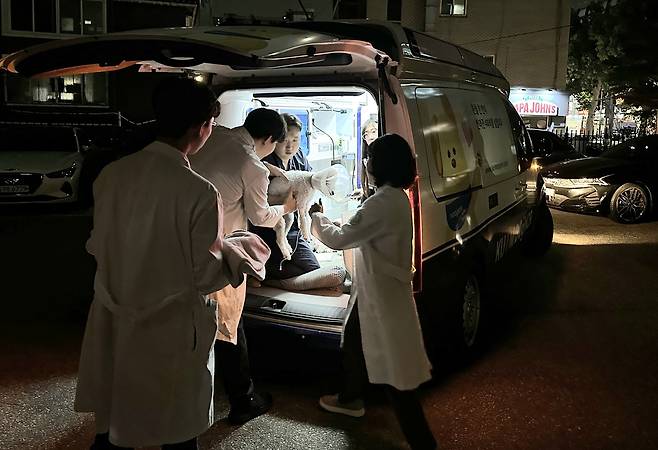 16일 동물병원에 앰뷸런스로 이송된 반려견과 의료진들의 모습. 건국대 동물병원은 의료기기가 설치된 앰뷸런스에 수의사가 함께 동행해 헌혈동물 및 응급환자 이송을 하고 있다.  (건국대 동물병원 제공) ⓒ 뉴스1