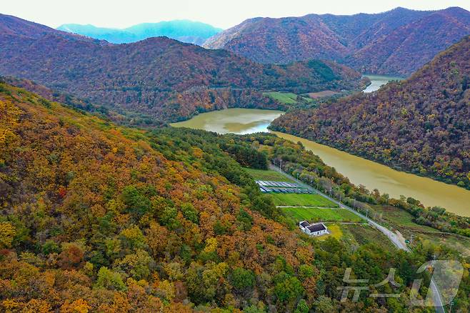 20일 강원도 평창군 대관령 송천 일대 산자락에 단풍이 물들고 있다. 2024.10.20/뉴스1 ⓒ News1 이재명 기자