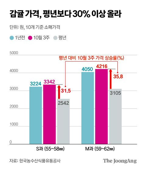 김주원 기자