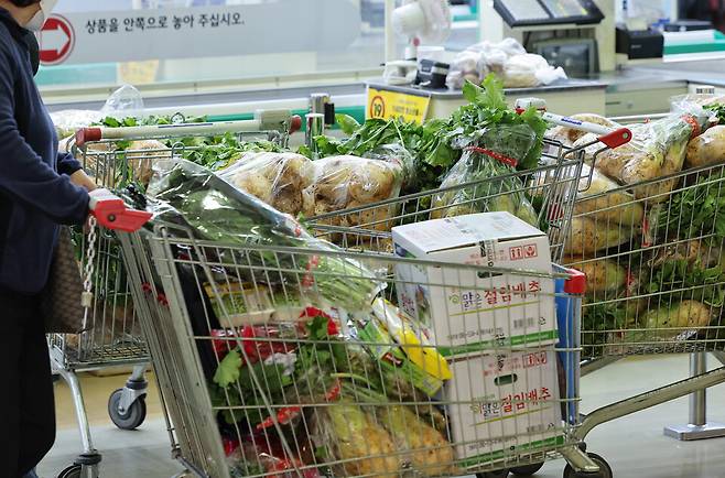 20일 한국농수산식품유통공사(aT)에 따르면, 지난 18일 기준 배추(상품) 소매가격은 포기당 평균 9123원으로 1년 전보다 39.8% 비싸고 평년보다 41.6% 높은 것으로 나타났다. ⓒ연합뉴스