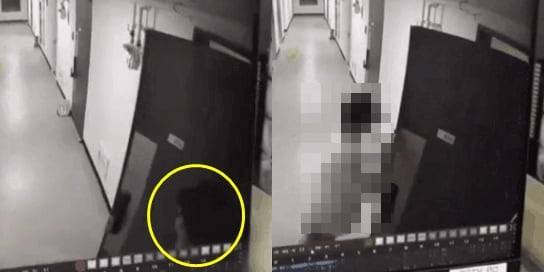 BJ 조예리씨가 공개한 무단침입 피해 관련 영상. 문 뒤에 숨어 있던 남성(왼쪽)이 문이 열리자 집 안으로 들어가려 하는 모습. /온라인커뮤니티